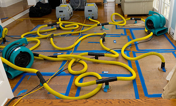 Professional Basement Flood Cleanup technician working in Pentwater, MI